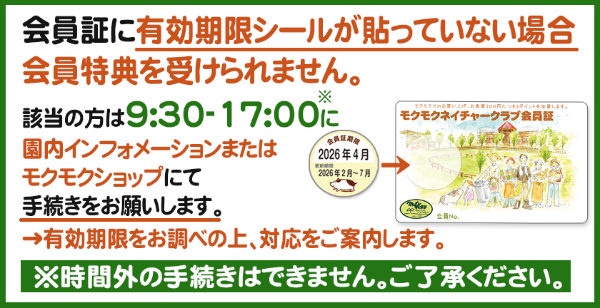 �V�[���Ȃ��̏ꍇ