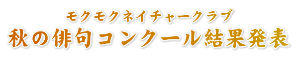 H̔oRN[ʔ\