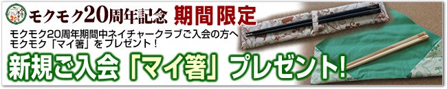 �V�K������}�C���v���[���g�I