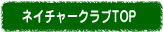 gbv