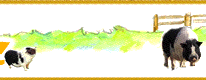 �ɉ�̗����N���N��Â���t�@�[��