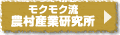 ���N���N���_���Y�ƌ�����