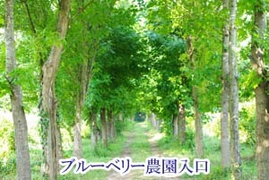農園入口
