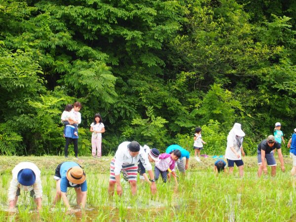 草取り② (12)