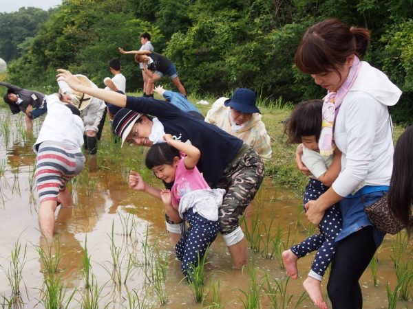 草取り② (5)