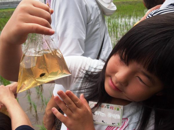草取り② (11)2